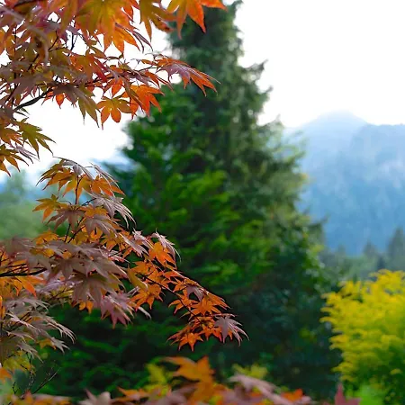Hubertus * Schliersee