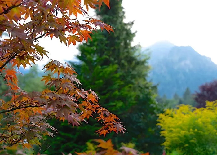 Hubertus * Schliersee